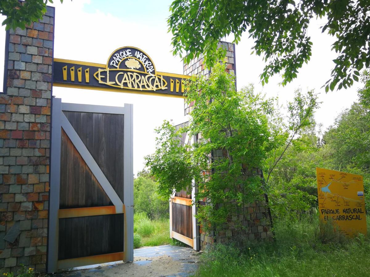 Villa El Rincon De Tus Suenos El Espinar Esterno foto