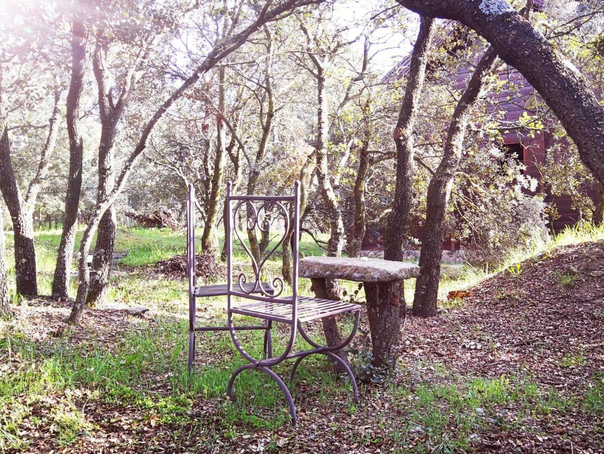 Villa El Rincon De Tus Suenos El Espinar Esterno foto